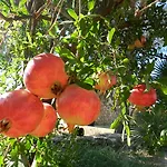 בית חווה Macchia Salentina Baia Di Gallipoli
