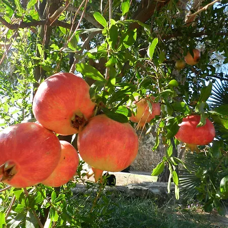 Bauernhof Macchia Salentina Baia Di Gallipoli